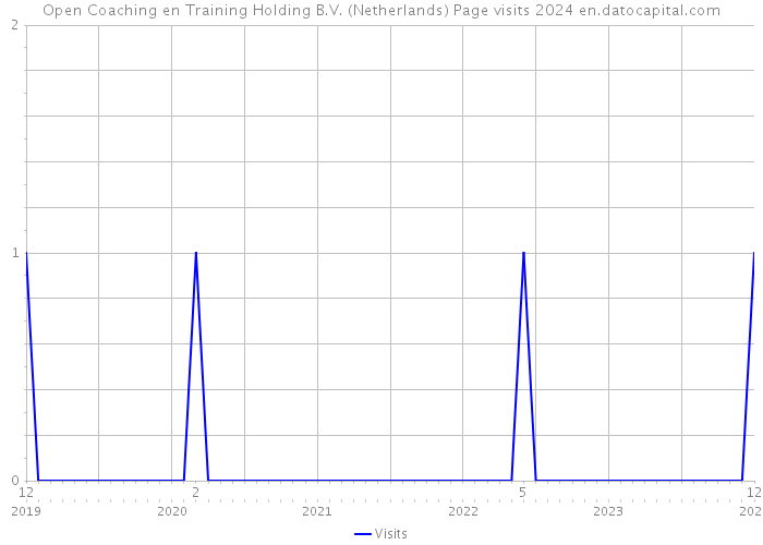 Open Coaching en Training Holding B.V. (Netherlands) Page visits 2024 