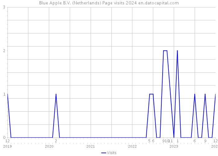 Blue Apple B.V. (Netherlands) Page visits 2024 
