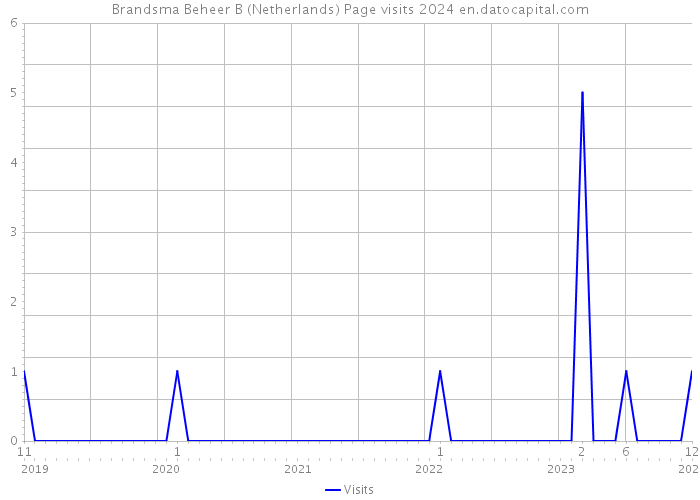 Brandsma Beheer B (Netherlands) Page visits 2024 