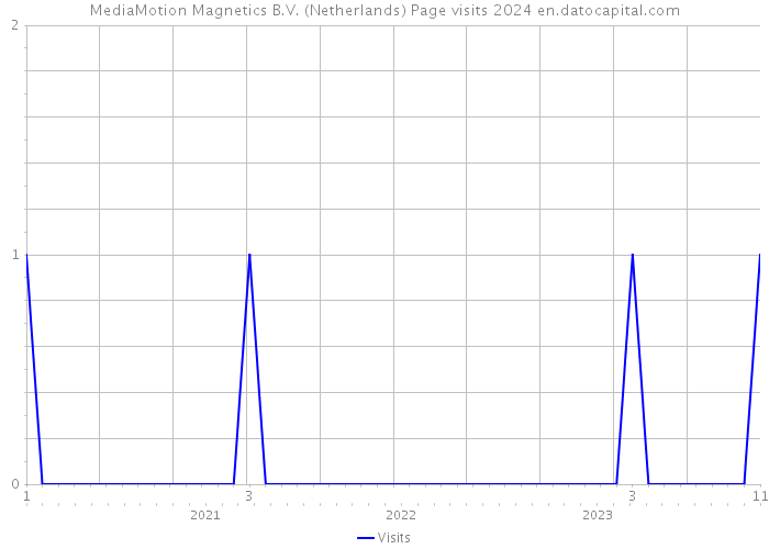 MediaMotion Magnetics B.V. (Netherlands) Page visits 2024 