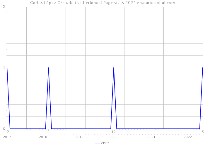 Carlos López Orejudo (Netherlands) Page visits 2024 
