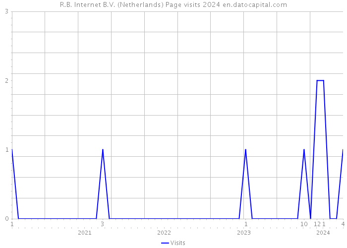 R.B. Internet B.V. (Netherlands) Page visits 2024 