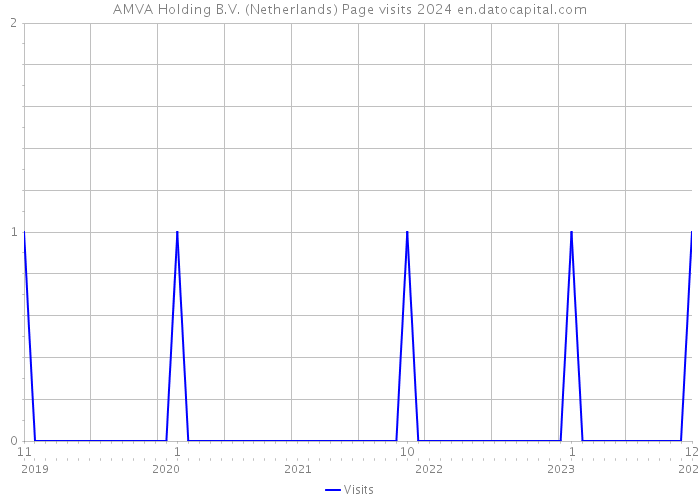 AMVA Holding B.V. (Netherlands) Page visits 2024 