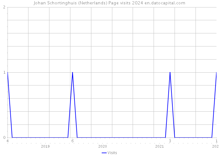 Johan Schortinghuis (Netherlands) Page visits 2024 
