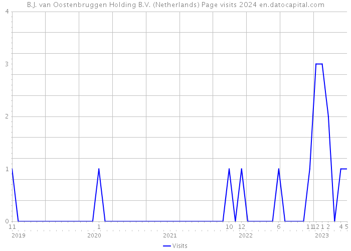 B.J. van Oostenbruggen Holding B.V. (Netherlands) Page visits 2024 