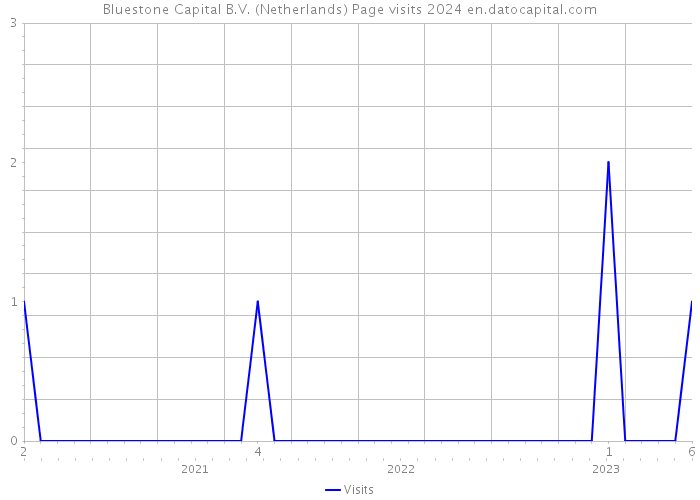 Bluestone Capital B.V. (Netherlands) Page visits 2024 