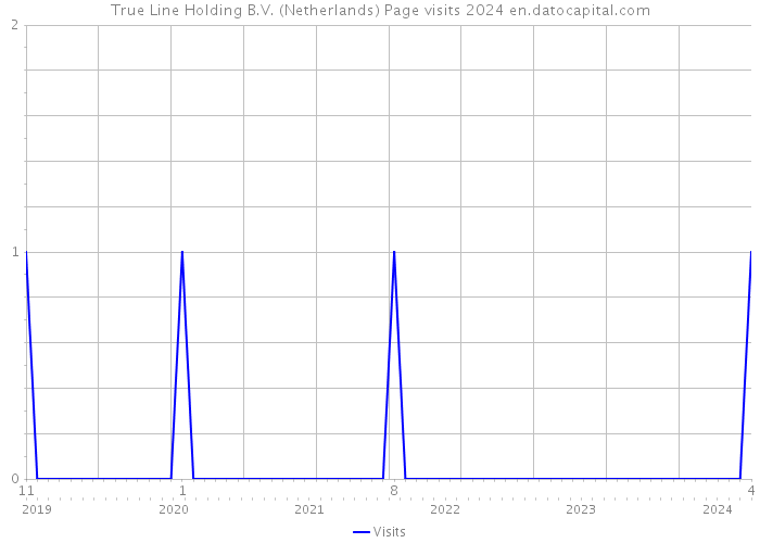 True Line Holding B.V. (Netherlands) Page visits 2024 