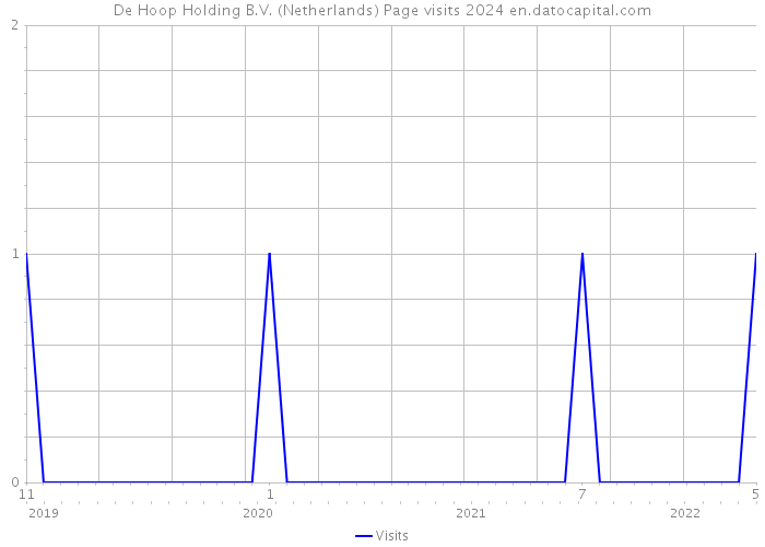 De Hoop Holding B.V. (Netherlands) Page visits 2024 