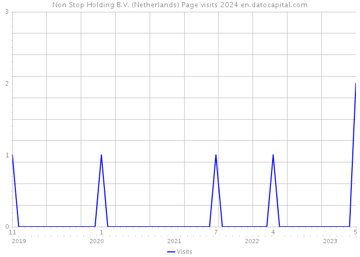 Non Stop Holding B.V. (Netherlands) Page visits 2024 