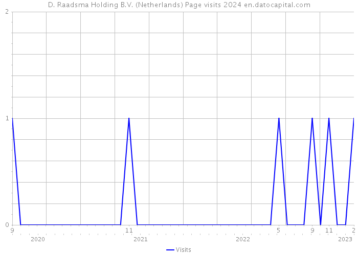D. Raadsma Holding B.V. (Netherlands) Page visits 2024 