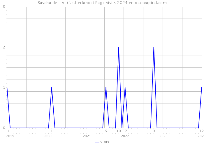 Sascha de Lint (Netherlands) Page visits 2024 