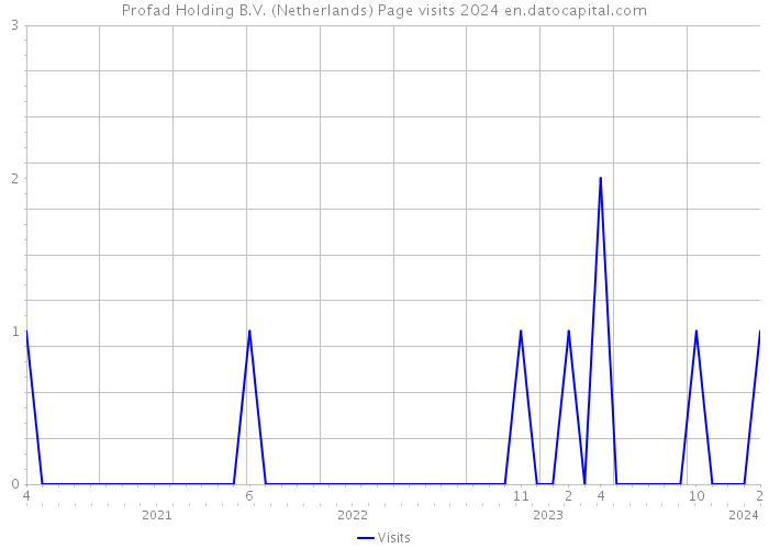 Profad Holding B.V. (Netherlands) Page visits 2024 