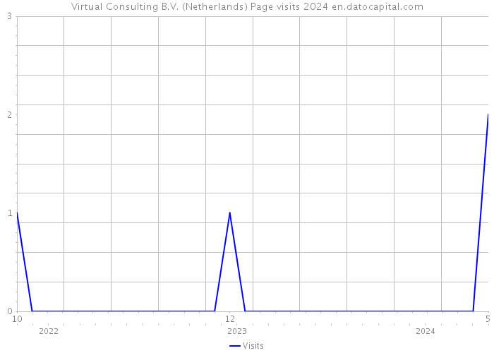 Virtual Consulting B.V. (Netherlands) Page visits 2024 