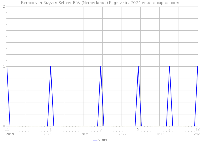 Remco van Ruyven Beheer B.V. (Netherlands) Page visits 2024 