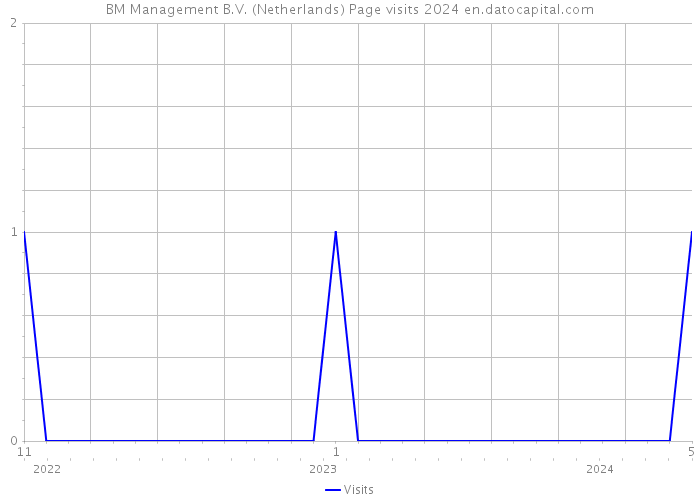 BM Management B.V. (Netherlands) Page visits 2024 