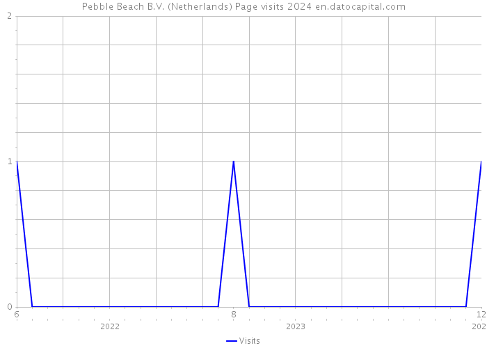 Pebble Beach B.V. (Netherlands) Page visits 2024 