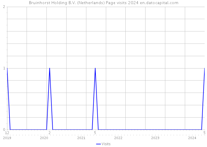 Bruinhorst Holding B.V. (Netherlands) Page visits 2024 