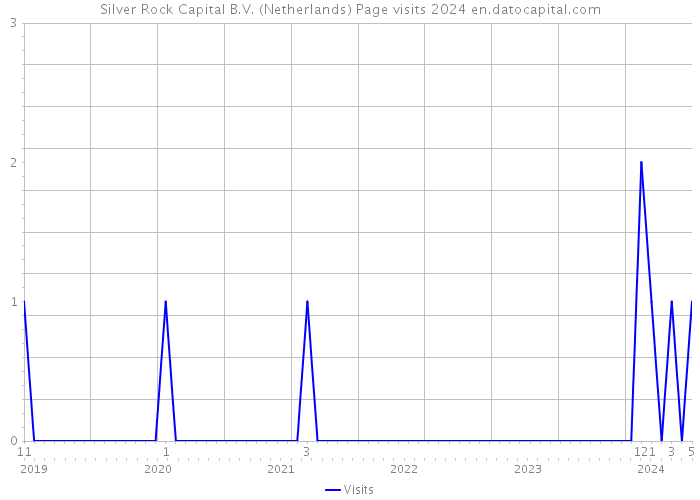 Silver Rock Capital B.V. (Netherlands) Page visits 2024 