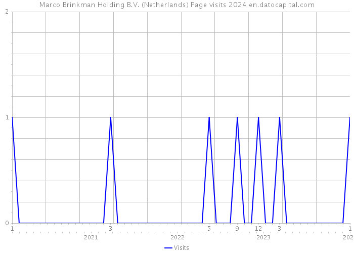Marco Brinkman Holding B.V. (Netherlands) Page visits 2024 