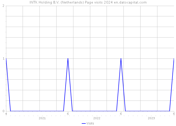 INTK Holding B.V. (Netherlands) Page visits 2024 