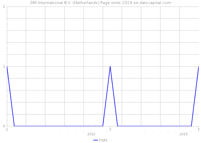 DM International B.V. (Netherlands) Page visits 2024 