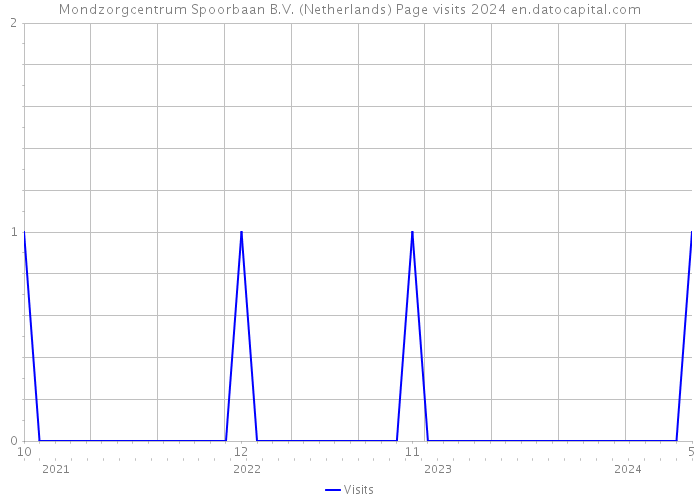 Mondzorgcentrum Spoorbaan B.V. (Netherlands) Page visits 2024 