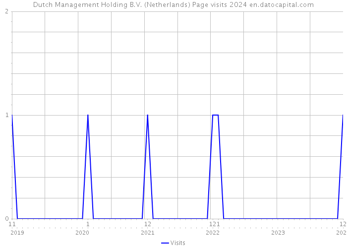 Dutch Management Holding B.V. (Netherlands) Page visits 2024 