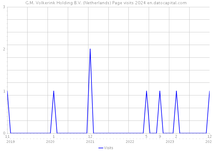 G.M. Volkerink Holding B.V. (Netherlands) Page visits 2024 