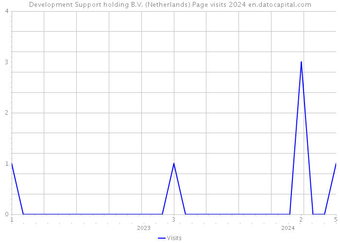 Development Support holding B.V. (Netherlands) Page visits 2024 