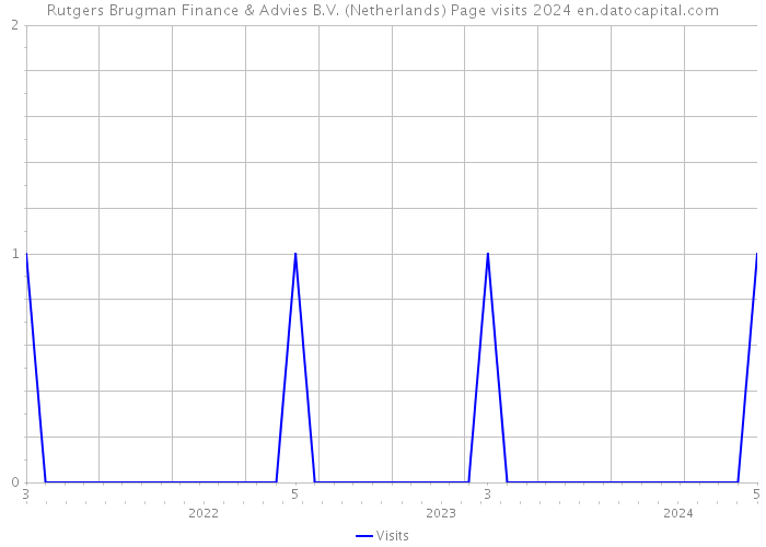 Rutgers Brugman Finance & Advies B.V. (Netherlands) Page visits 2024 