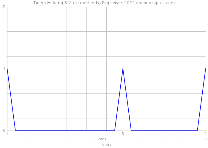 Taling Holding B.V. (Netherlands) Page visits 2024 