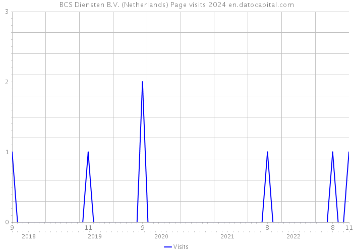 BCS Diensten B.V. (Netherlands) Page visits 2024 