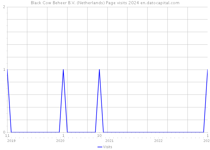 Black Cow Beheer B.V. (Netherlands) Page visits 2024 