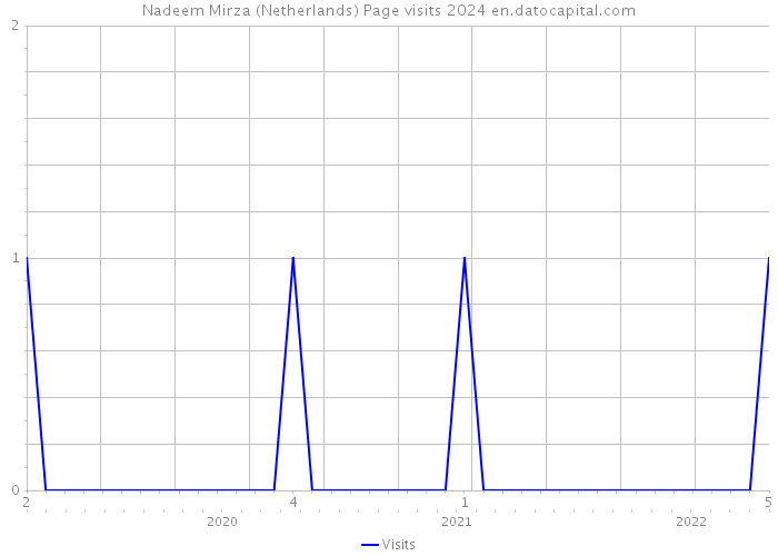 Nadeem Mirza (Netherlands) Page visits 2024 