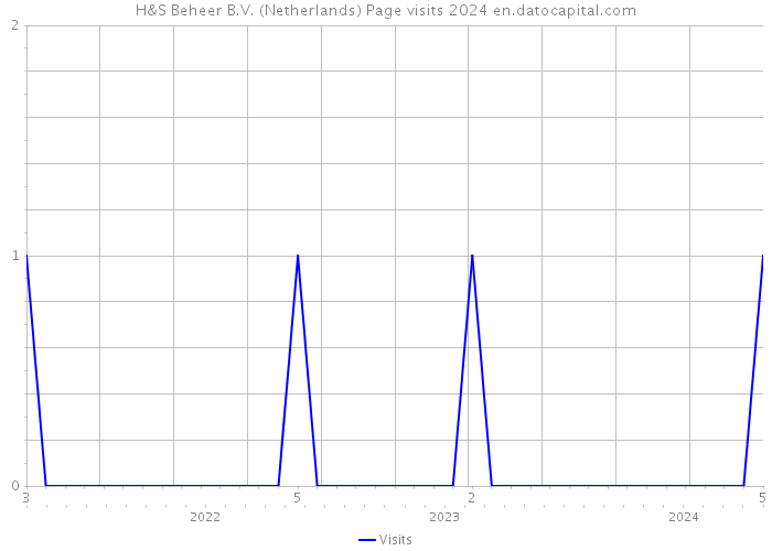 H&S Beheer B.V. (Netherlands) Page visits 2024 