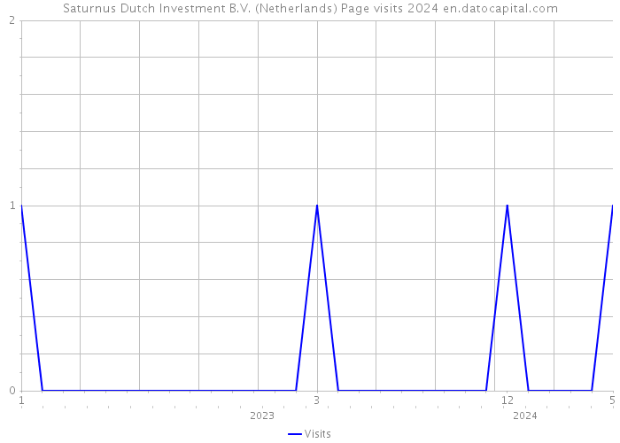 Saturnus Dutch Investment B.V. (Netherlands) Page visits 2024 