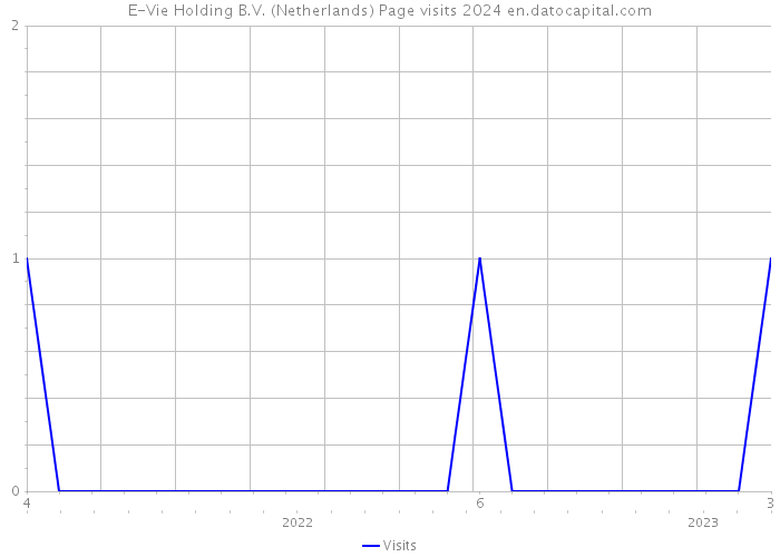 E-Vie Holding B.V. (Netherlands) Page visits 2024 