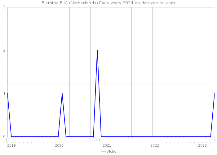 Fleming B.V. (Netherlands) Page visits 2024 