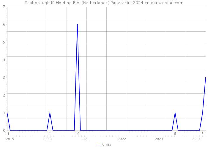 Seaborough IP Holding B.V. (Netherlands) Page visits 2024 