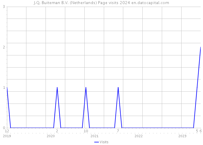 J.Q. Buiteman B.V. (Netherlands) Page visits 2024 