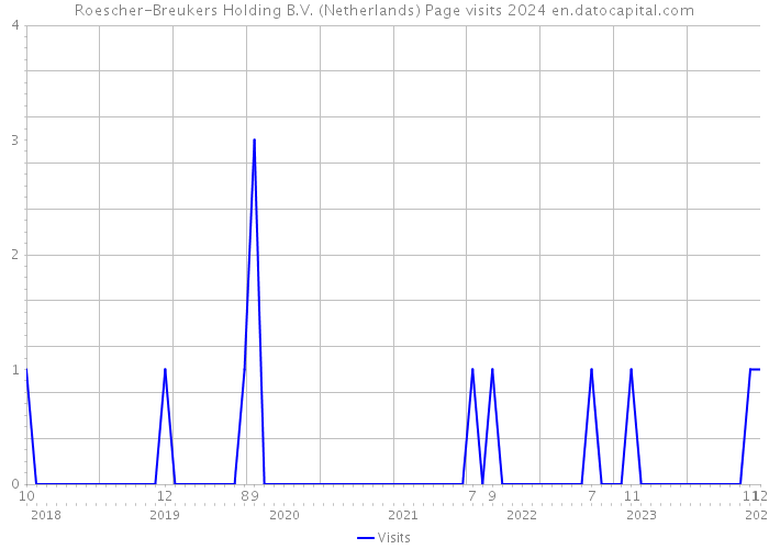 Roescher-Breukers Holding B.V. (Netherlands) Page visits 2024 