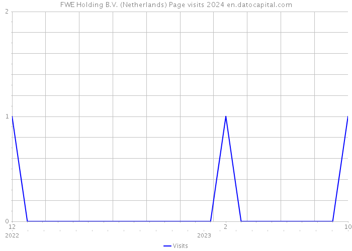 FWE Holding B.V. (Netherlands) Page visits 2024 