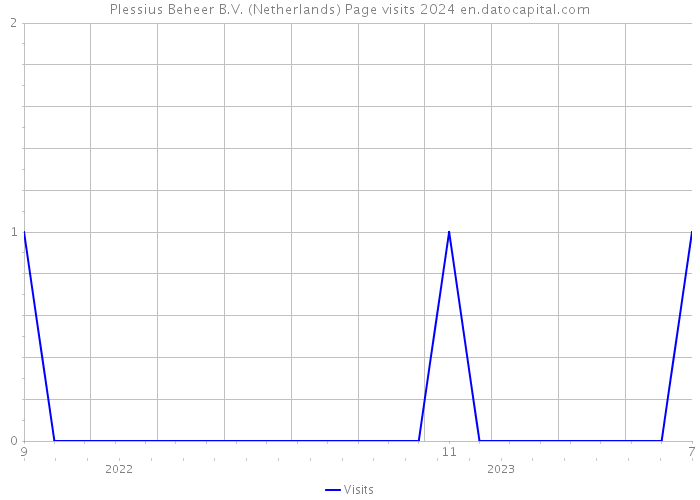 Plessius Beheer B.V. (Netherlands) Page visits 2024 