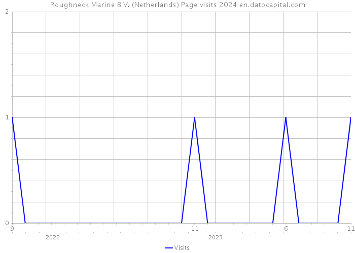 Roughneck Marine B.V. (Netherlands) Page visits 2024 
