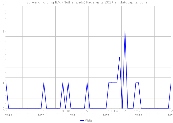 Bolwerk Holding B.V. (Netherlands) Page visits 2024 