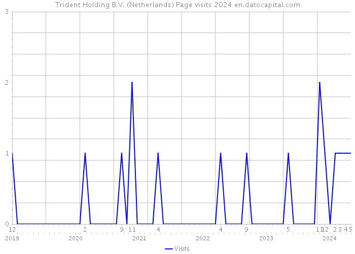 Trident Holding B.V. (Netherlands) Page visits 2024 