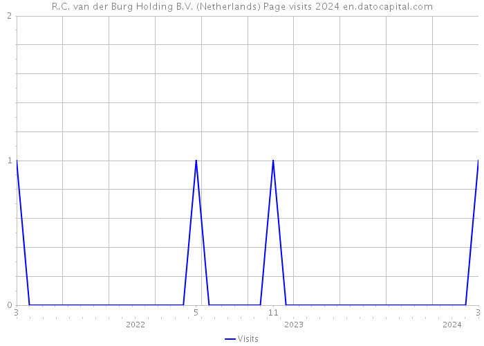 R.C. van der Burg Holding B.V. (Netherlands) Page visits 2024 