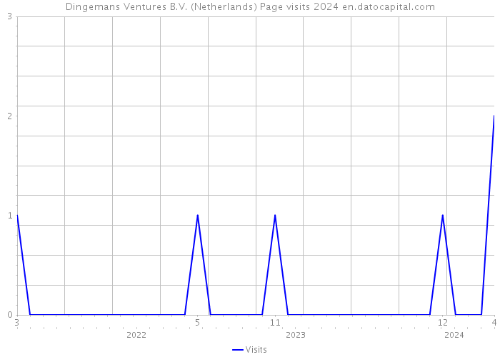 Dingemans Ventures B.V. (Netherlands) Page visits 2024 