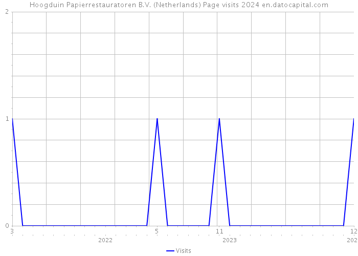 Hoogduin Papierrestauratoren B.V. (Netherlands) Page visits 2024 