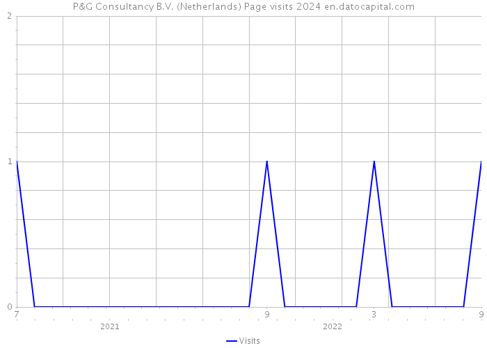 P&G Consultancy B.V. (Netherlands) Page visits 2024 